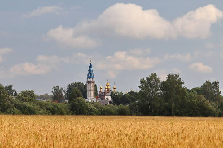 Русское поле. Кузнецово, Ивановская область.