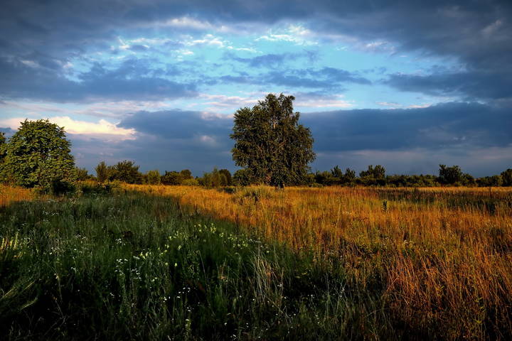  Отблеск летнего заката.