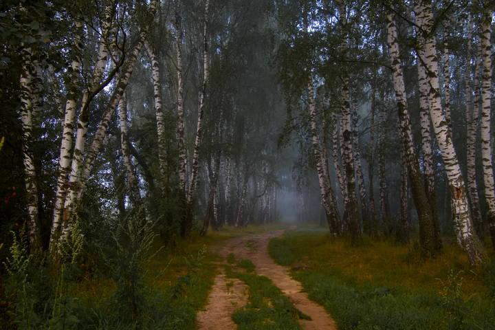 Утро во  Фрязино
