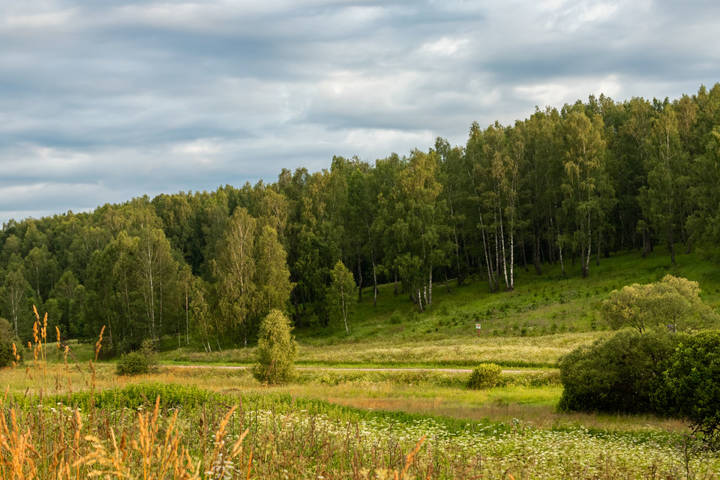 Косогор