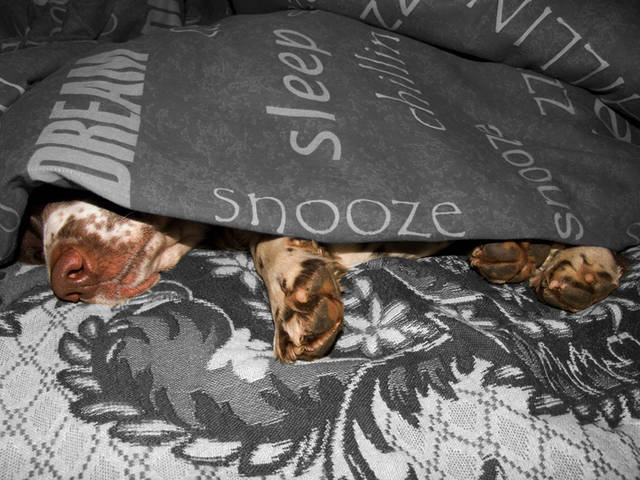 Snooze