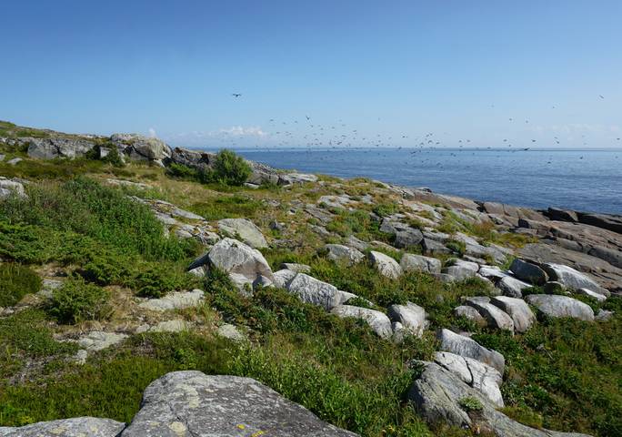 # 4