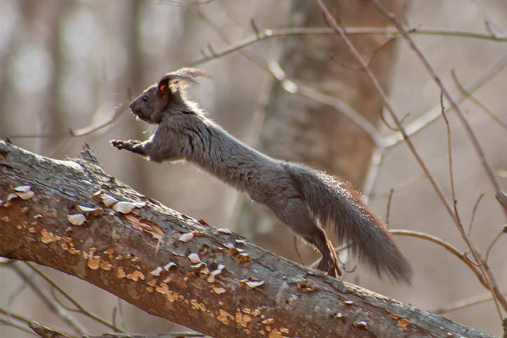 Скорость