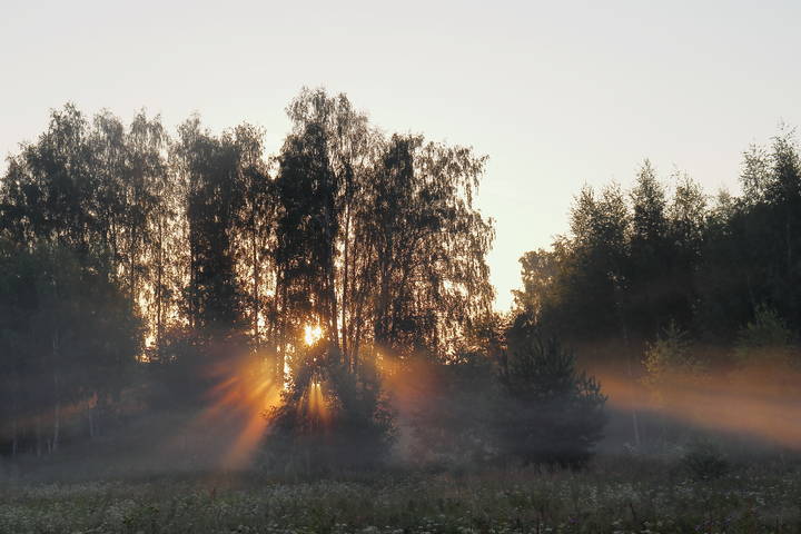 Рассвет