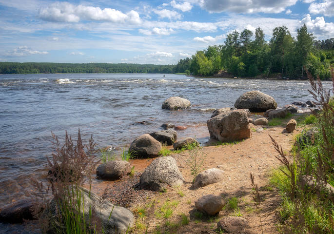 Бурная река