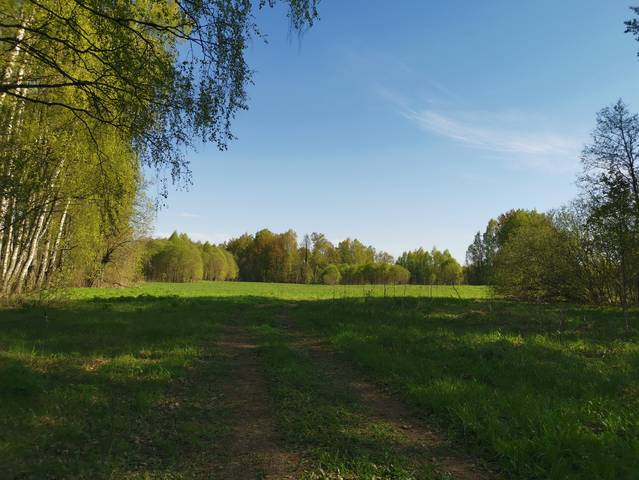 Лето