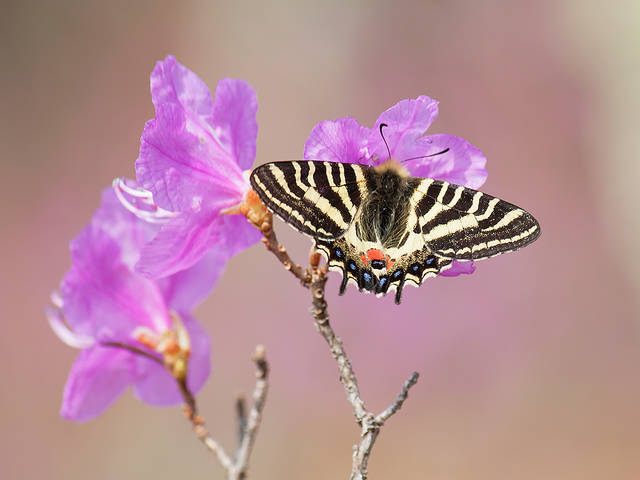 # 1
