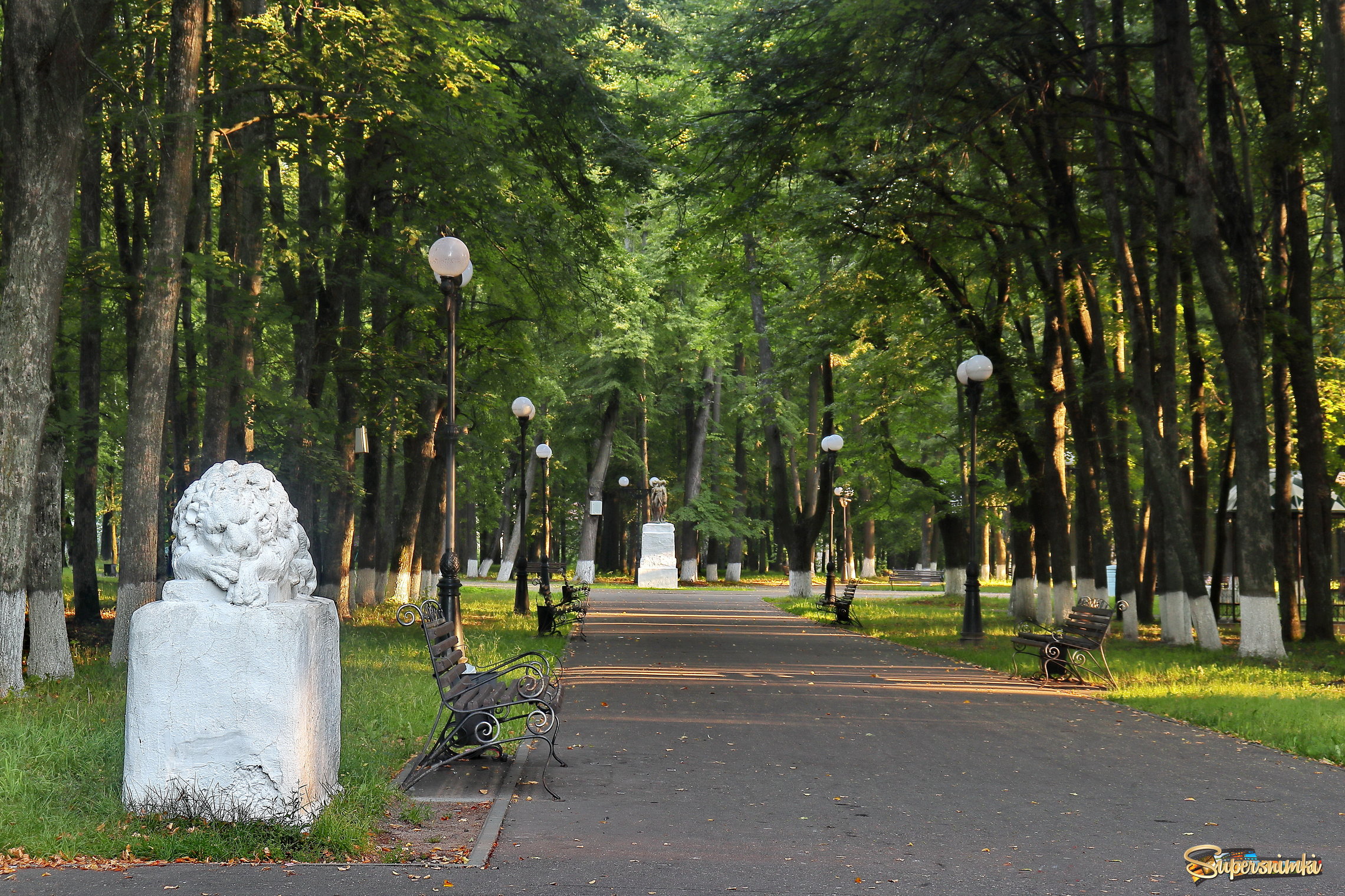 Утро в городском парке. Шуя, Ивановская область.