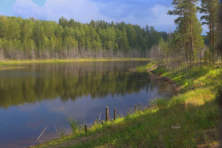 полдень на  озере 