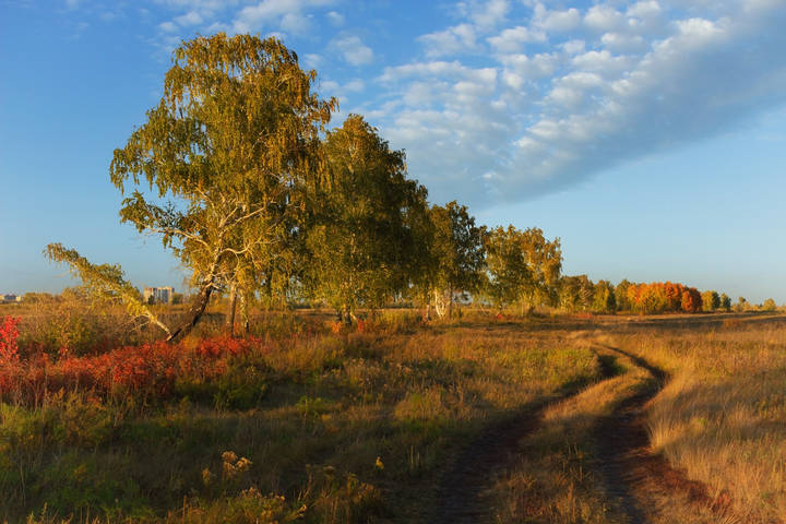 "Где-то за городом"