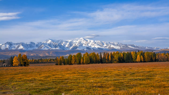 Алтайские просторы