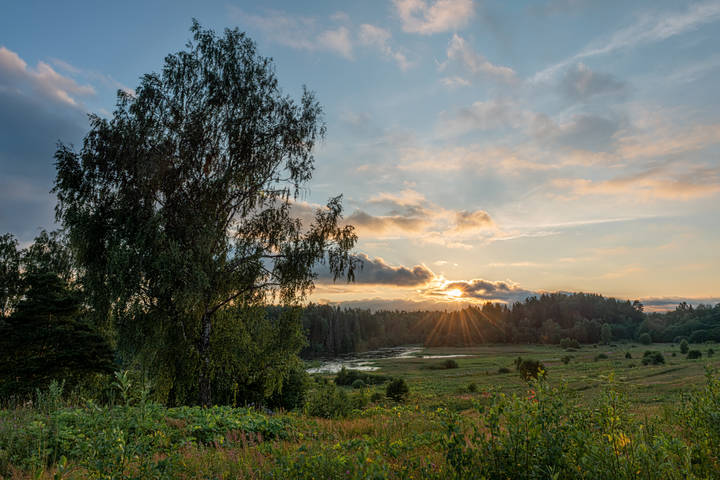 Вечер. Середина лета