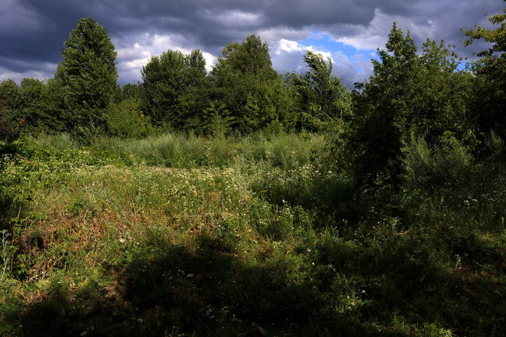  Ветрено.