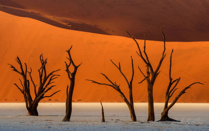 SURREAL NAMIBIA | April 2024