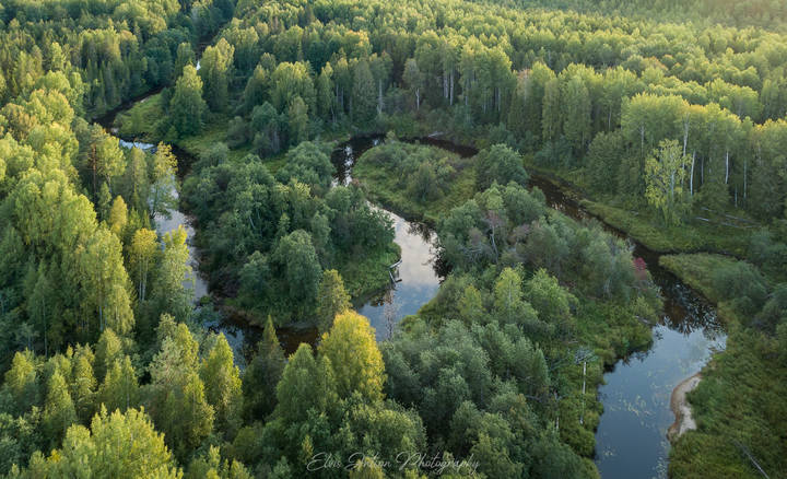 Конец лета в южной тайге. Река Понга.