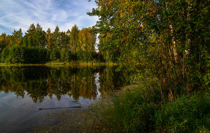 Теплая Подмосковная Осень # III 
