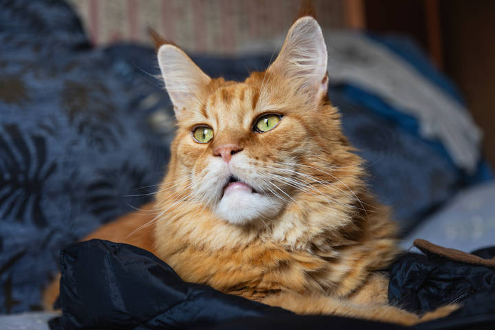 Василий.