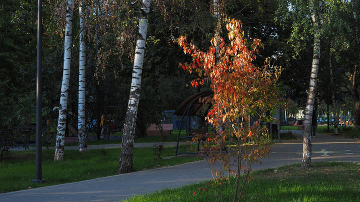 Осенняя Зарисовка