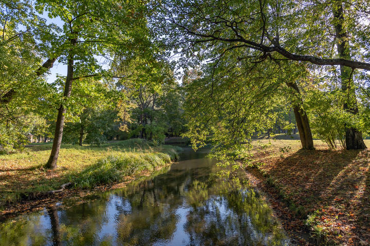 Осень в парке