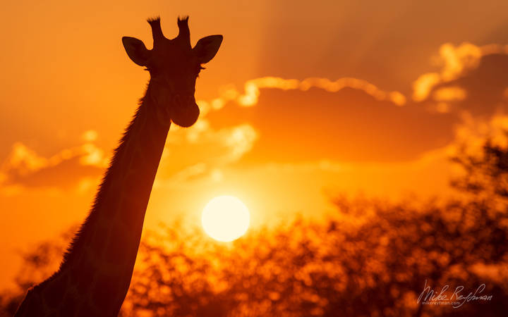 SURREAL NAMIBIA | April 2024