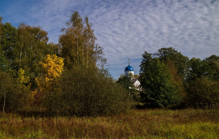 Теплая Подмосковная Осень # VII 
