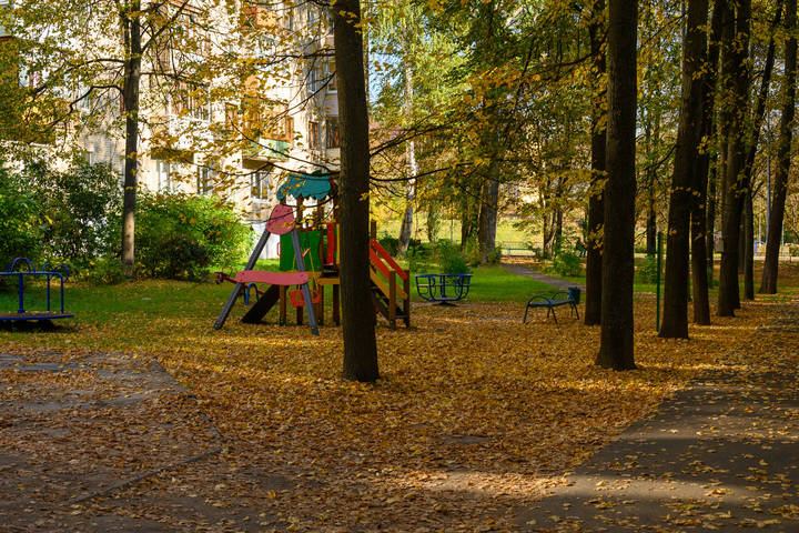 Все в школе