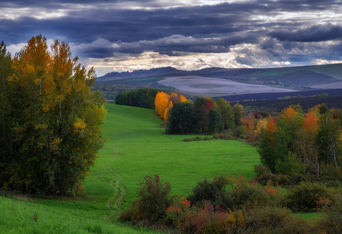 Осенние зарисовки