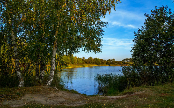 Теплая Подмосковная Осень # IX 