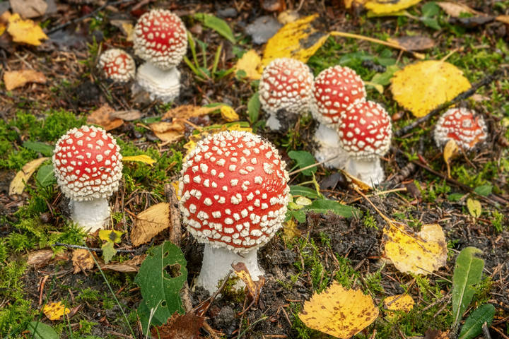 Сентябрь