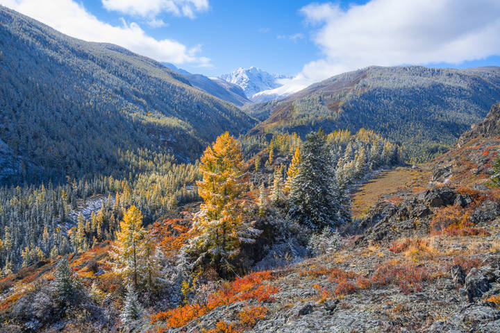 Осень на Алтае