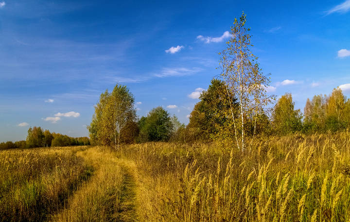 Завтра Октябрь # 03 