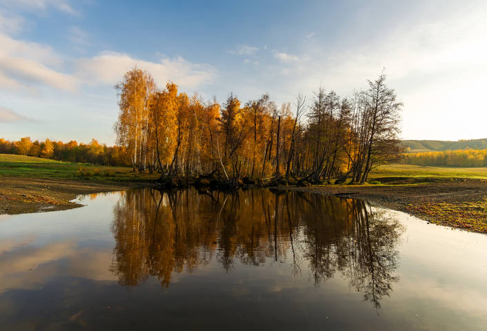 Доброе утро