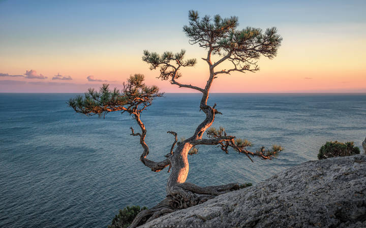 Та самая