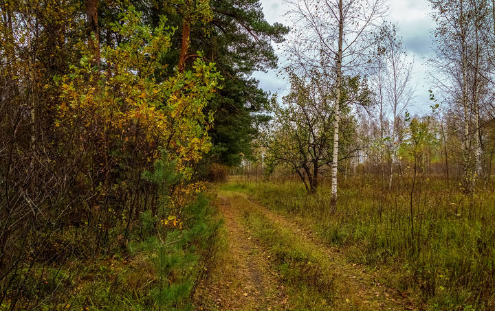 Дрезненская осень 