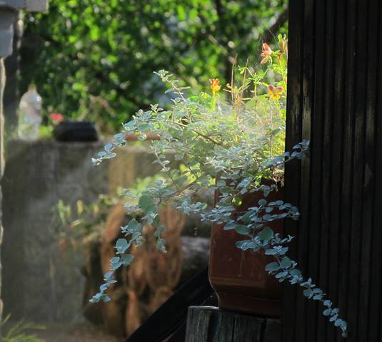 Инсталляция