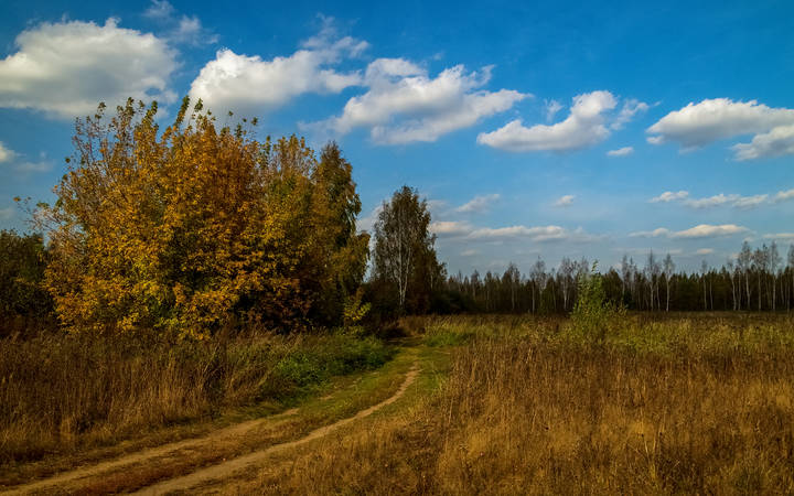 Дрезненская осень # 03 