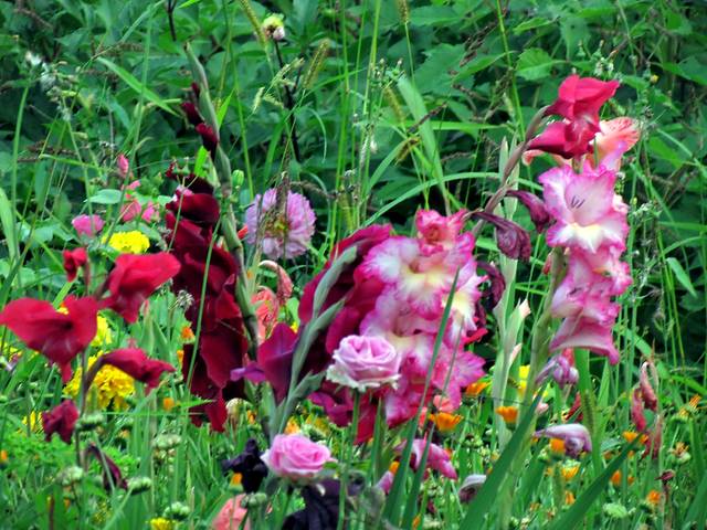 # 1