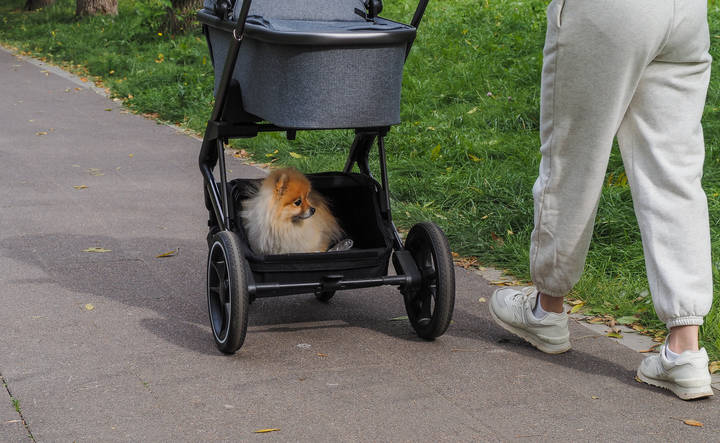 Пассажир