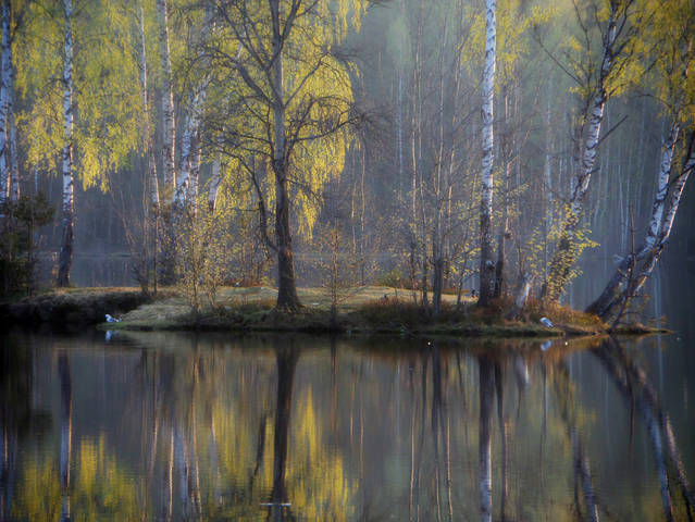 Весенним утром.......