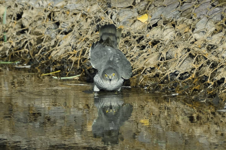 # 3