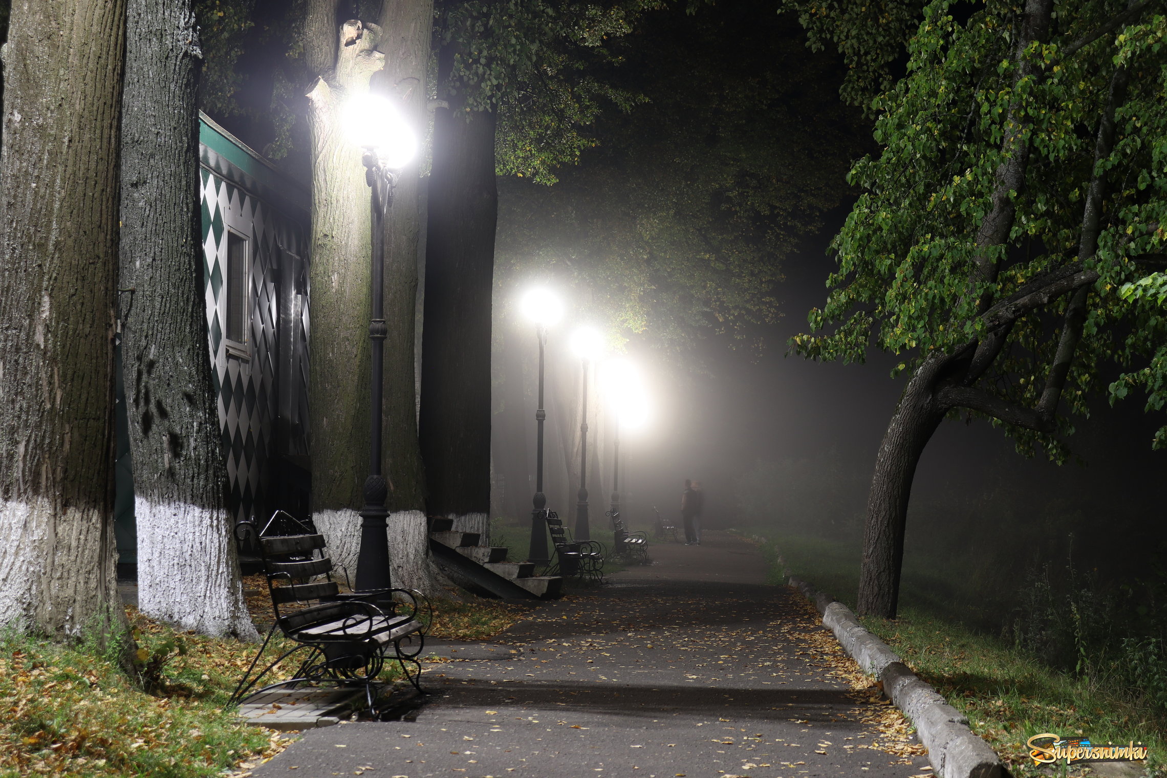 Вечерняя прогулка в туманном парке.. 
