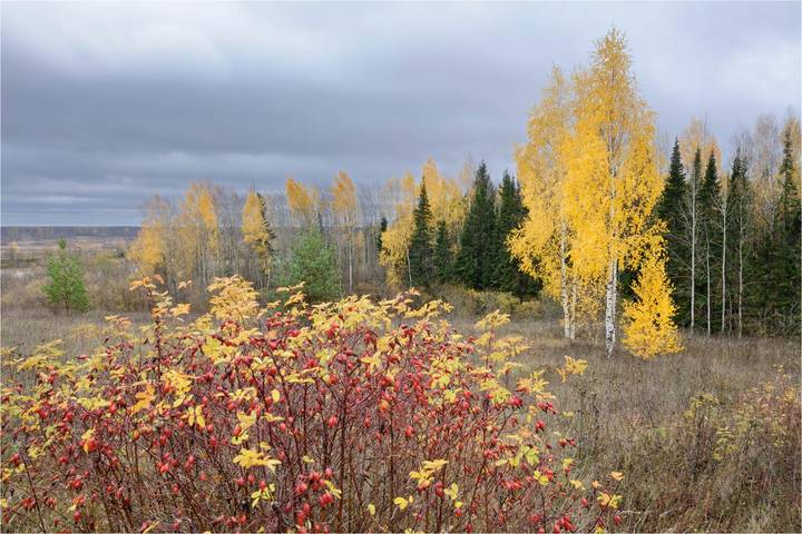Унылая пора  