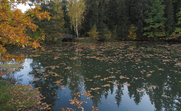 Осень в Абрамцево