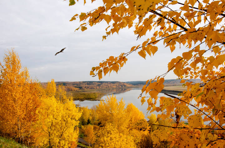 Краски  осени