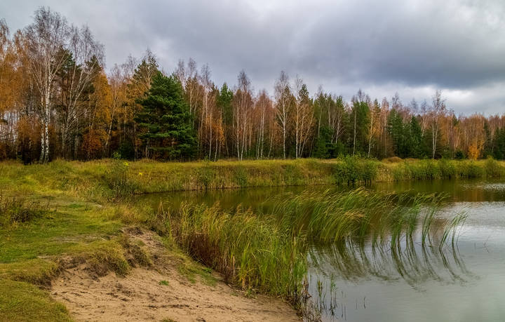 Осень, Октябрь, утро.... 