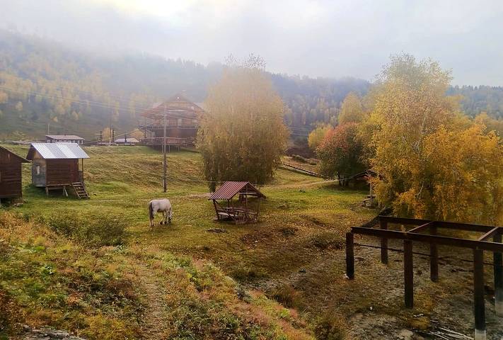 Отдых на Алтае .