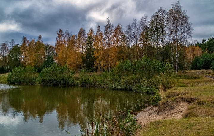 Осень, Октябрь, утро # 02
