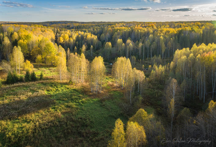 Осень в заповеднике