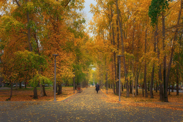 В осеннем парке 