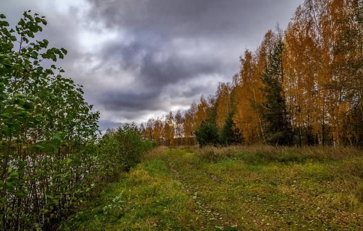 Осень, Октябрь, утро # 03 
